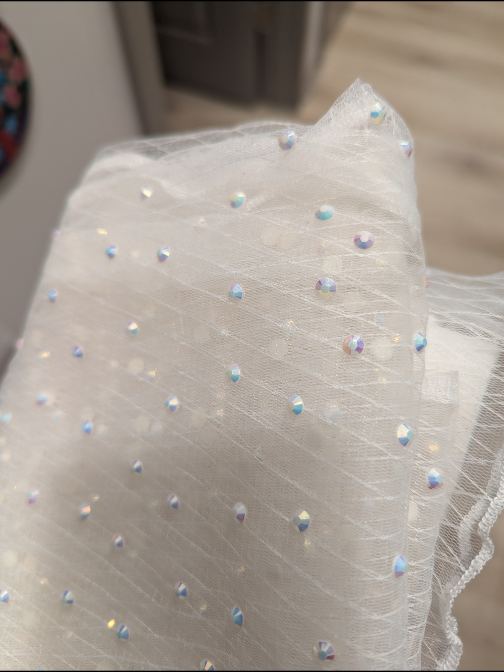 Jeweled Sheer Flared Pants